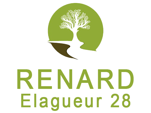 Entreprise RENARD Elagueur 